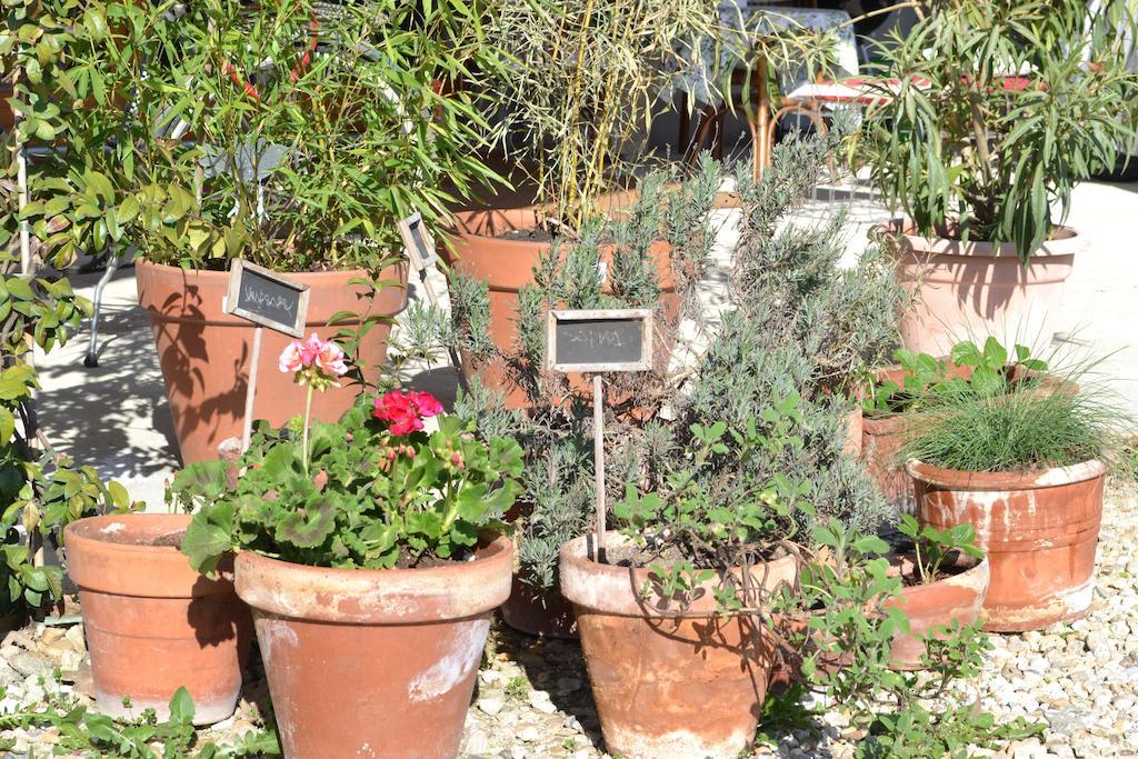 La Locanda Di Valbella Asti Exteriör bild