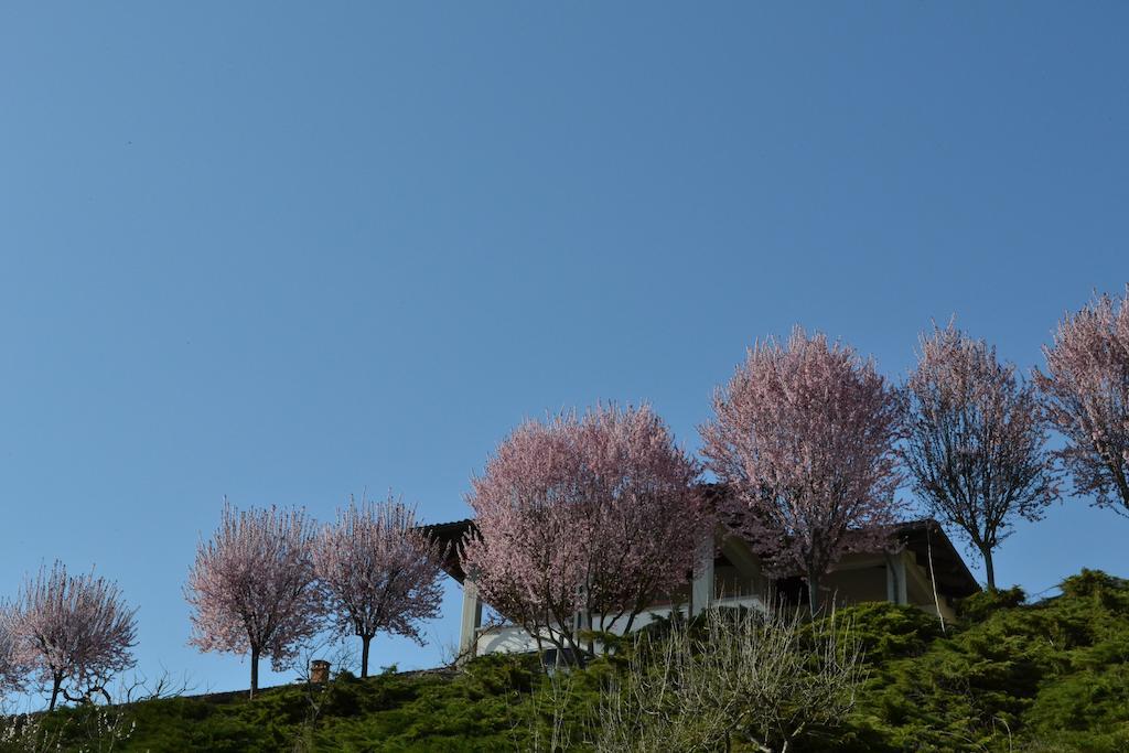 La Locanda Di Valbella Asti Exteriör bild